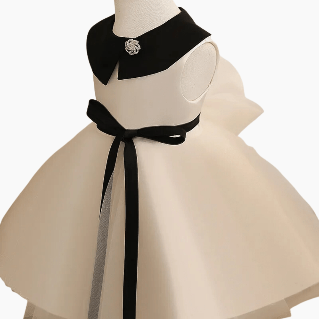 Elegant Black and White Princess Dress